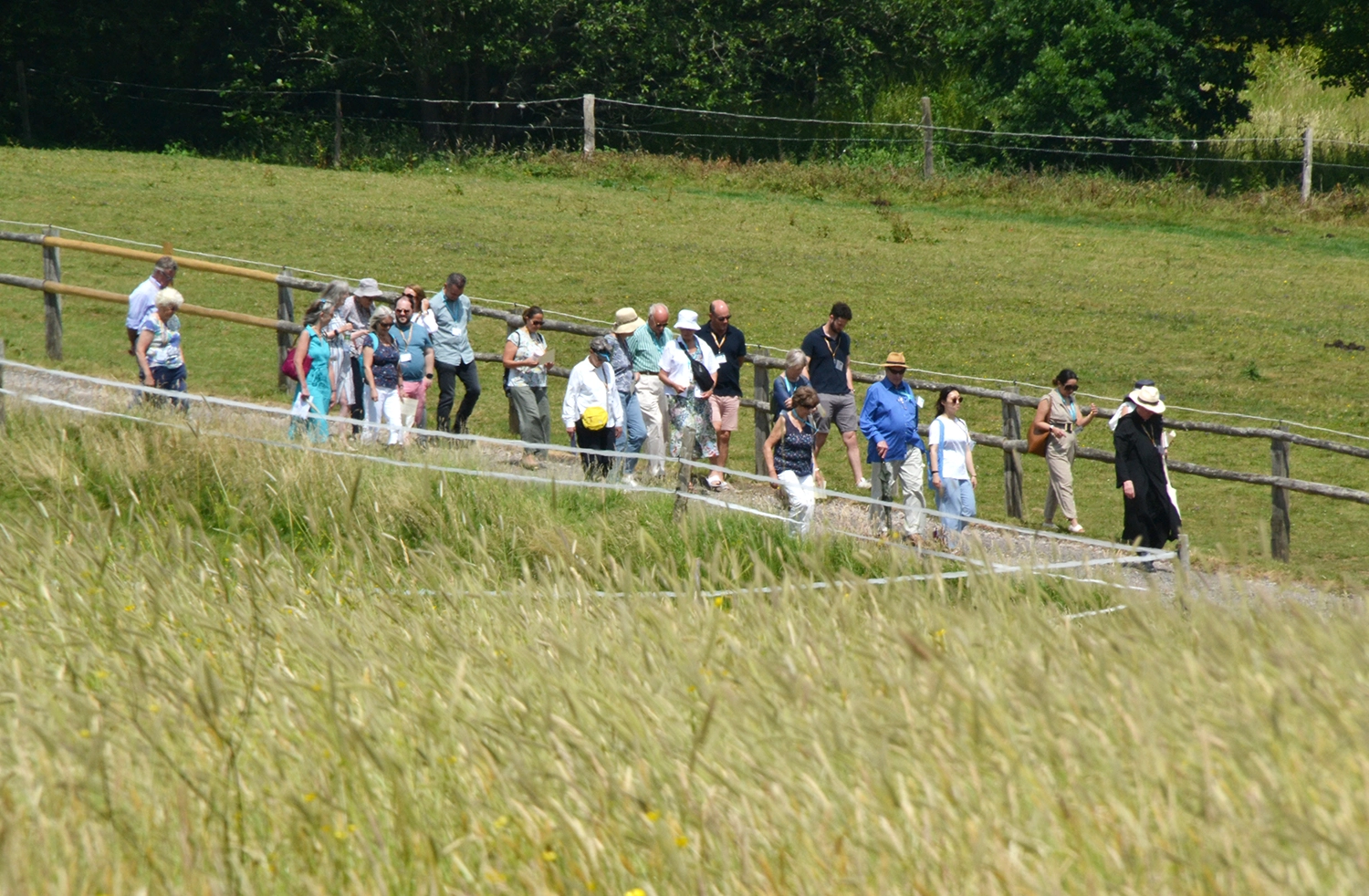 Walk our Estate